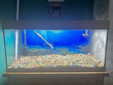 Juwel rio 180 for sale  BRADFORD