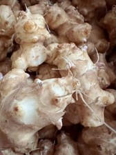Sunchoke jerusalem artichoke for sale  Bensalem