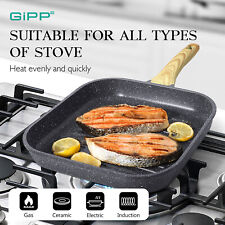 Gipp nonstick grill for sale  Buckeye