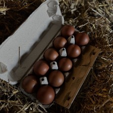 Bruteier marans 10 gebraucht kaufen  Wangen im Allgäu