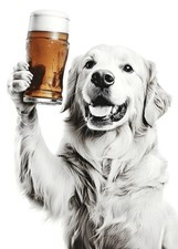 Golden retriever drinking for sale  Milwaukee
