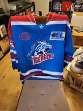 Nürnberg ice tigers gebraucht kaufen  Fürth