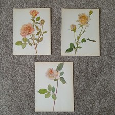 Original vintage 1965 for sale  SWINDON