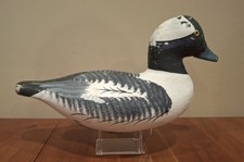 Rare vintage bufflehead for sale  Clarkston