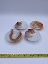 Akro agate clam for sale  Chesterton
