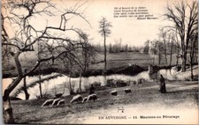67454 postcard auvergne d'occasion  Expédié en Belgium