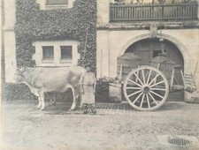 Photo château loudenne d'occasion  Montreuil