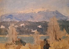 Tim deibler original for sale  Palmer Lake