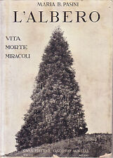 Albero vita morte usato  Cicagna