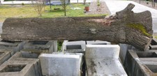 Eichenstamm eiche baumstamm gebraucht kaufen  Lilienthal