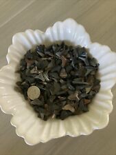 Sharks teeth lot for sale  Melbourne