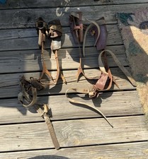 Old tree climbing for sale  Summerville