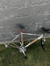 Vintage serotta legend for sale  Milford
