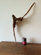 Driftwood piece tall for sale  UK