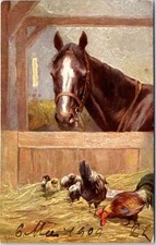 Animaux chevaux cheval d'occasion  France
