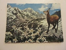 Carte postale images d'occasion  Orry-la-Ville