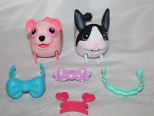 Chubby puppies fashion for sale  Springboro