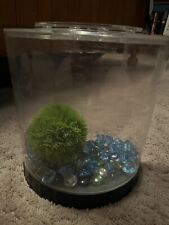 Beta fish tank for sale  Hubbard