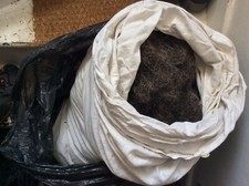 Traditional upholstery horse for sale  MORDEN