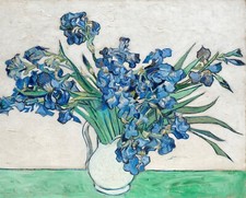 Print canvas irises for sale  Topsham