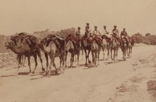 Caravane chameaux afrique d'occasion  Paris V