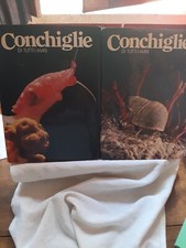 Conchiglie tutti mari usato  Frascati