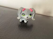 Littlest petshop maltese d'occasion  Expédié en Belgium