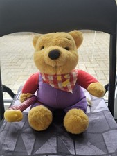 Winnie pooh puuh gebraucht kaufen  Euskirchen