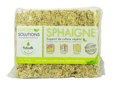 Sfagno cileno fibre usato  Bibbiano