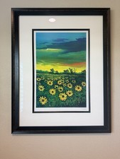David najar sunflowers for sale  Corona