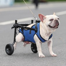Disabled pet wheelchair for sale  UK