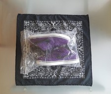 Sample nike dunk low 6.0 canvas purple 2011 comprar usado  Enviando para Brazil