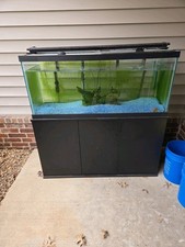 Gallon fish tank for sale  Springfield