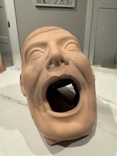 Dental manikin head for sale  Cincinnati