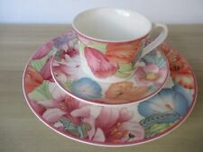 Gallo design villeroy gebraucht kaufen  Fürth