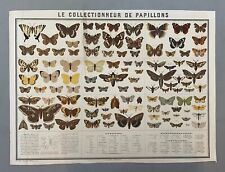 Collectionneur papillons bouas d'occasion  Expédié en Belgium