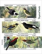 Tropical birds bird for sale  PONTYPRIDD