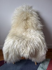 Large genuine icelandic for sale Large genuine icelandic for sale  WANTAGE