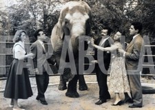 Vintage animali jean usato  Roma