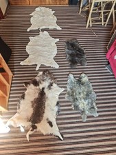 Lammfelle kaninchen felle gebraucht kaufen  Könnern