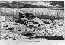 Photo bird catchers for sale  USA
