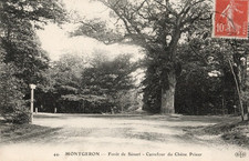 parquet versailles chene vieux d'occasion parquet versailles chene vieux d'occasion Saint-Amans-Soult