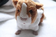 Furreal friends meerschweinche gebraucht kaufen  Aue
