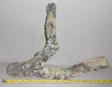 Cork bark branch for sale  BIRMINGHAM
