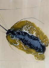 Germination peinture abstraite d'occasion  Paris XVIII