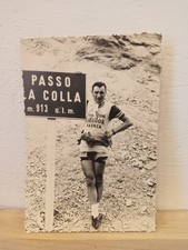 Passo della colla usato  Bologna
