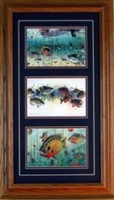 Kouba panfishing trilogy for sale  Annandale