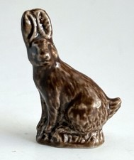 jack rabbit for sale jack rabbit for sale Phoenix