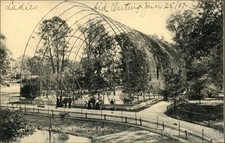 Parque Zoológico de Nova York - Gaiola Voadora, NY Cartão Postal Antigo Original Vintage comprar usado  Enviando para Brazil