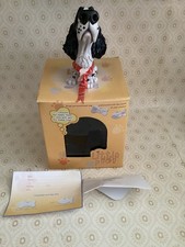 Little paws springer for sale  WOODHALL SPA